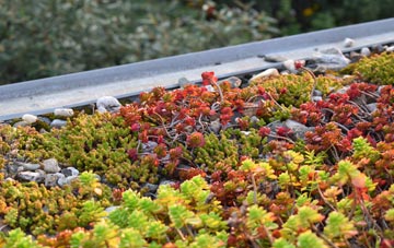 the cost of Tintinhull green roof installation
