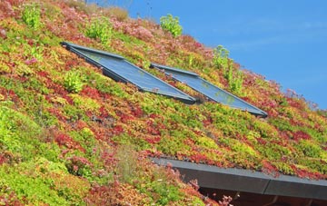 Tintinhull living roof systems