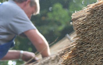 professional Tintinhull thatchers